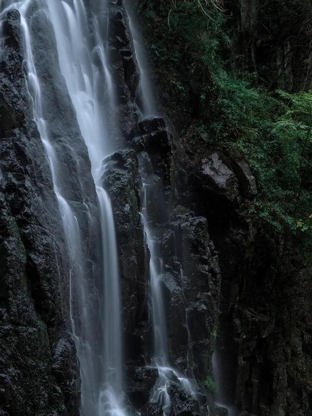 次元喵