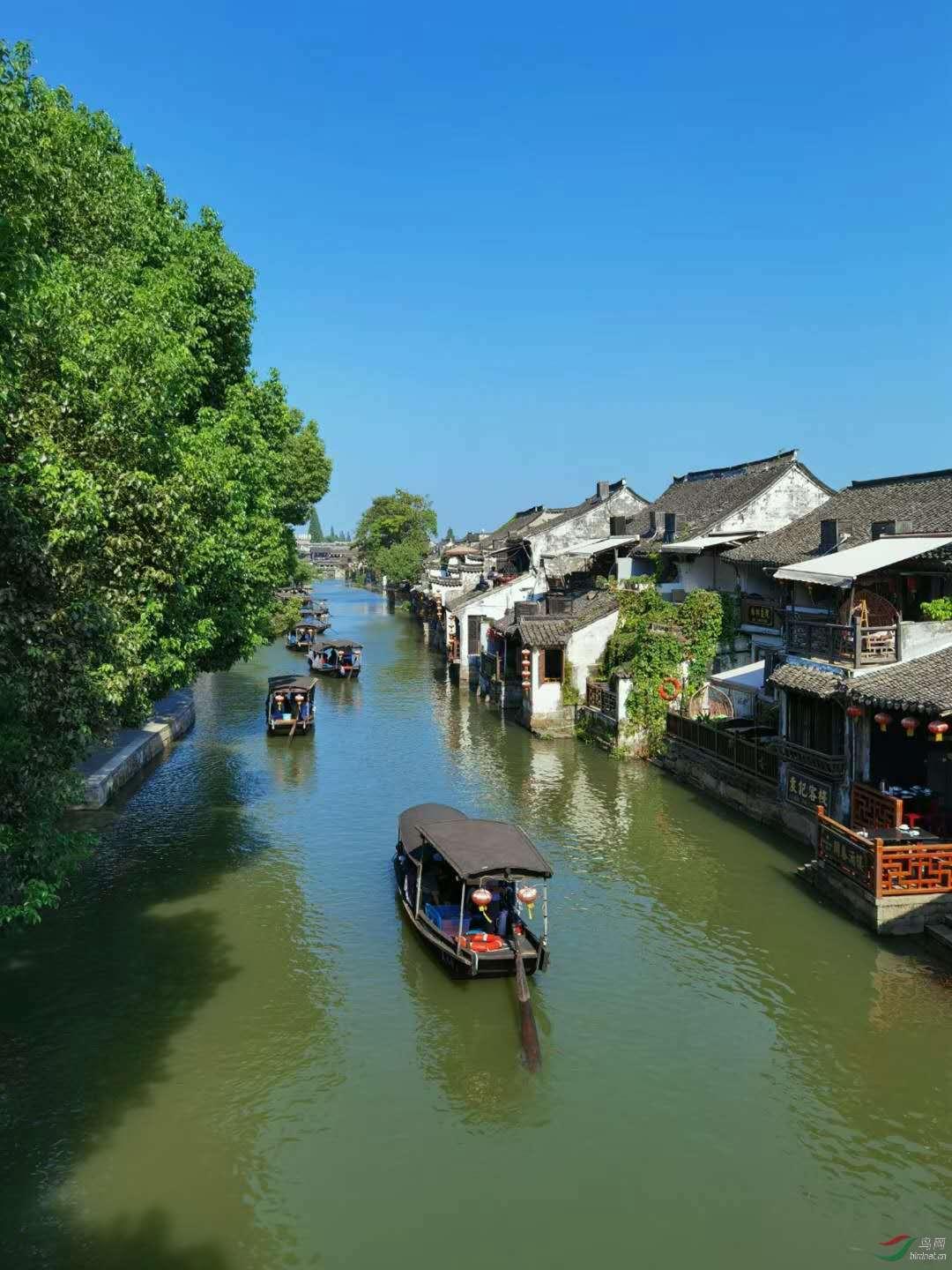小猫钓鱼开船版最新版下载